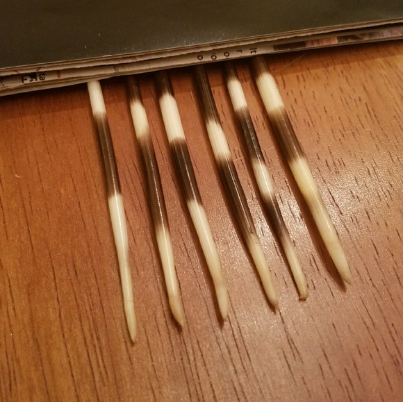 Boho African Porcupine Quill Spike Minimalist Earrings Brass Silver Gold - Picture 7 of 7